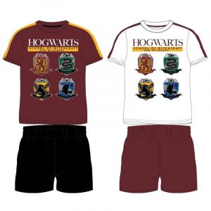 comprar Conjunto Hogwarts Harry Potter niño surtido