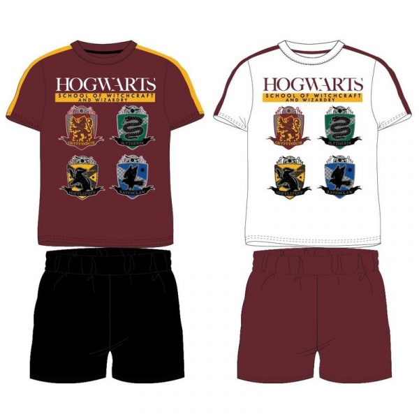 comprar Conjunto Hogwarts Harry Potter niño surtido