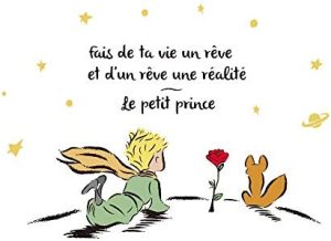 decalmile Pegatinas de Pared El Principito Frases Vinilos Cuento de Hadas Adhesivos Pared Infantil Dormitorio Habitación Bebé Guardería
